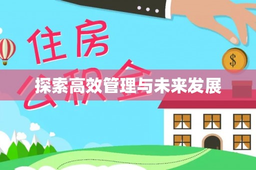 方城探索高效管理与未来发展
