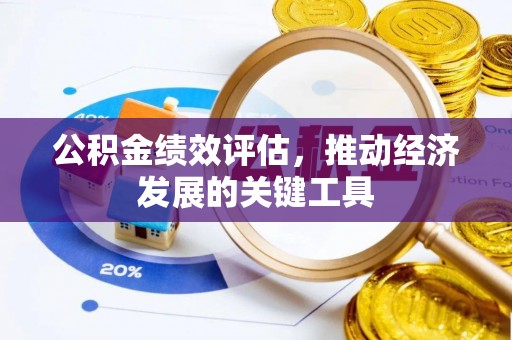 方城公积金绩效评估，推动经济发展的关键工具