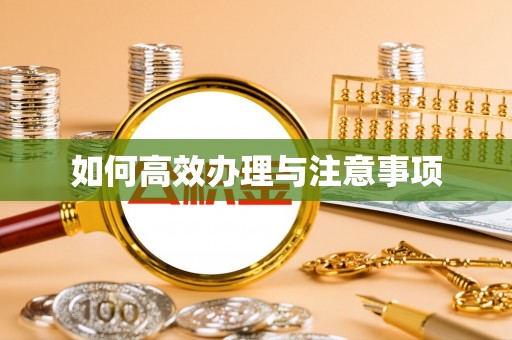 方城如何高效办理与注意事项
