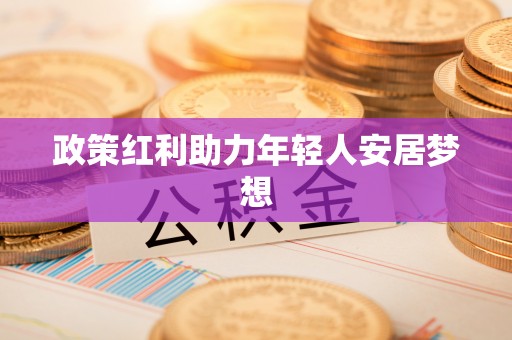 方城政策红利助力年轻人安居梦想