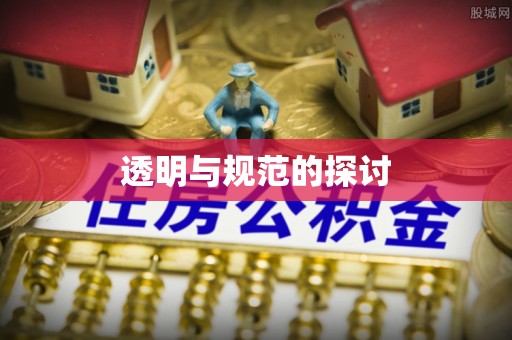 方城透明与规范的探讨