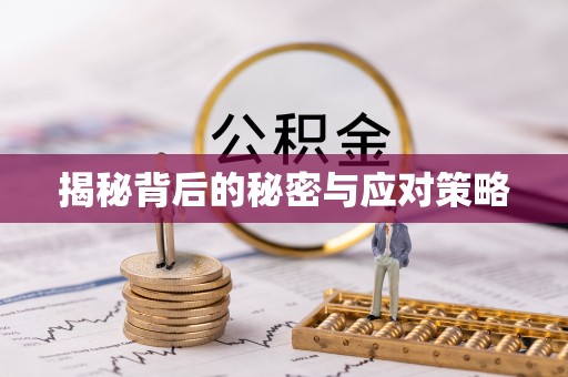 方城揭秘背后的秘密与应对策略