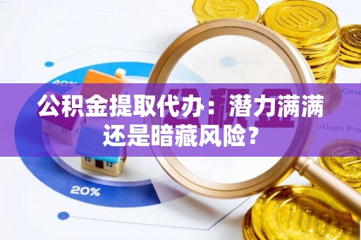 方城公积金提取代办：潜力满满还是暗藏风险？