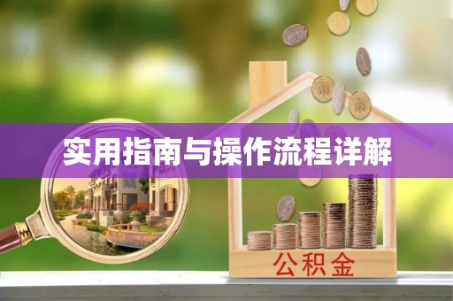 方城实用指南与操作流程详解
