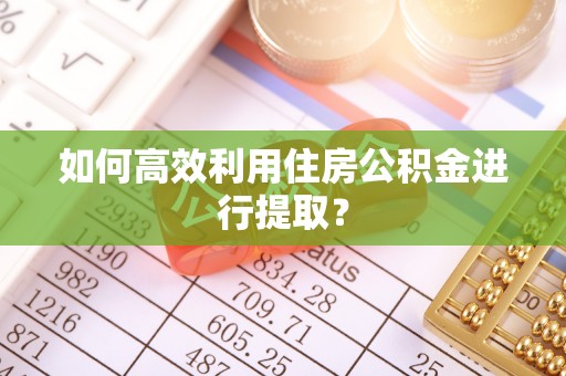 方城如何高效利用住房公积金进行提取？