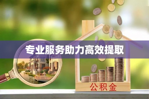方城专业服务助力高效提取