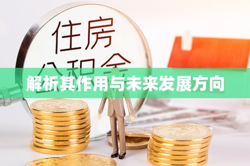 方城解析其作用与未来发展方向