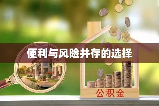 方城便利与风险并存的选择