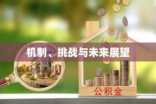 方城机制、挑战与未来展望