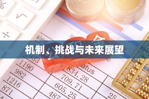 方城机制、挑战与未来展望
